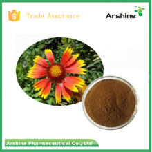 Pure Natural Extract Echinacea